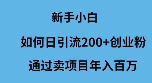 （9668期）新手小白如何日引流200+创业粉通过卖项目年入百万-富爸爸项目圈