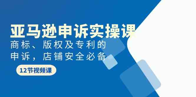 （9754期）亚马逊-申诉实战课，​商标、版权及专利的申诉，店铺安全必备-富爸爸项目圈