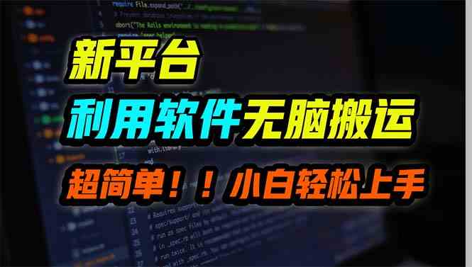 （9745期）新平台用软件无脑搬运，月赚10000+，小白也能轻松上手-富爸爸项目圈