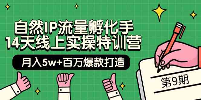 （9881期）自然IP流量孵化手 14天线上实操特训营【第9期】月入5w+百万爆款打造 (74节)-富爸爸项目圈