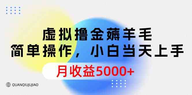 （9864期）虚拟撸金薅羊毛，简单操作，小白当天上手，月收益5000+-富爸爸项目圈