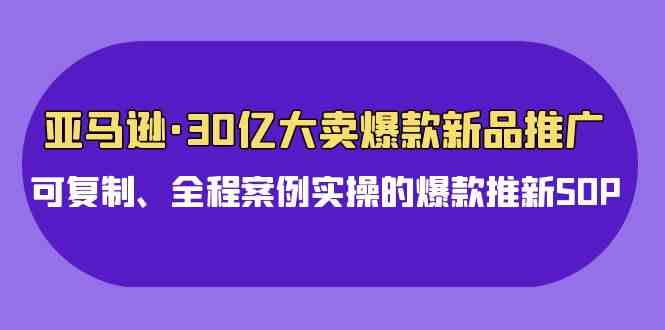 （9944期）亚马逊30亿·大卖爆款新品推广，可复制、全程案例实操的爆款推新SOP-富爸爸项目圈
