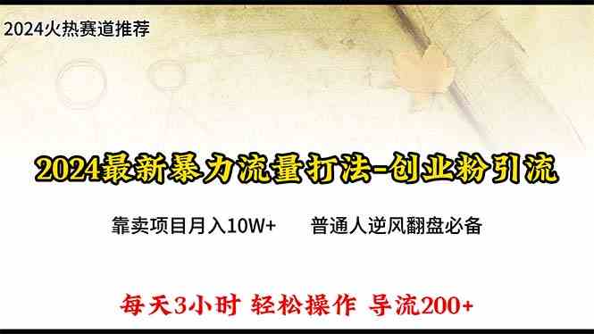 （10151期）2024年最新暴力流量打法，每日导入300+，靠卖项目月入10W+-富爸爸项目圈
