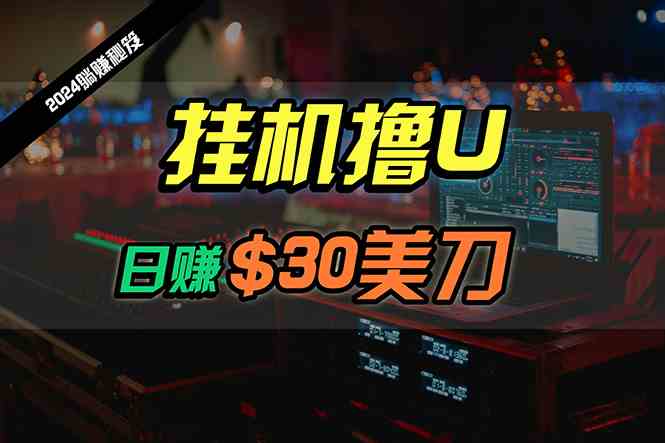 （10013期）日赚30美刀，2024最新海外挂机撸U内部项目，全程无人值守，可批量放大-富爸爸项目圈