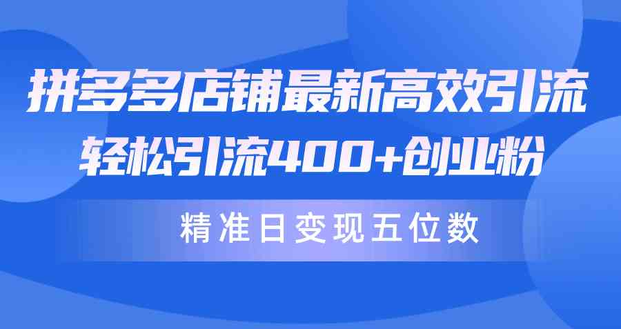 （10041期）拼多多店铺最新高效引流术，轻松引流400+创业粉，精准日变现五位数！-富爸爸项目圈