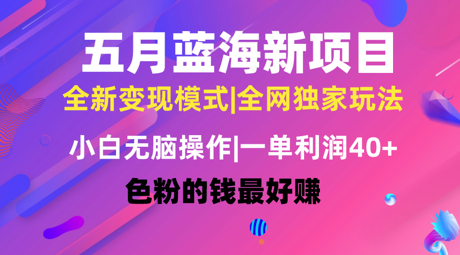 （10477期）五月蓝海项目全新玩法，小白无脑操作，一天几分钟，矩阵操作，月入4万+-富爸爸项目圈