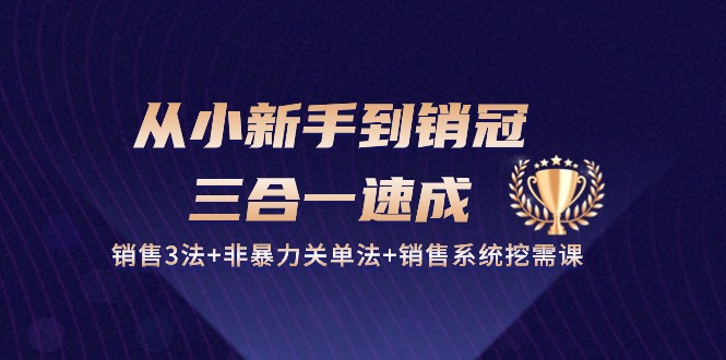 （10799期）从小新手到销冠 三合一速成：销售3法+非暴力关单法+销售系统挖需课 (27节)-富爸爸项目圈