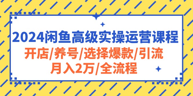 （10711期）2024闲鱼高级实操运营课程：开店/养号/选择爆款/引流/月入2万/全流程-富爸爸项目圈