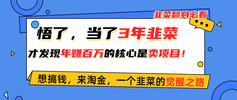 （10759期）悟了，当了3年韭菜，才发现网赚圈年赚100万的核心是卖项目，含泪分享！-富爸爸项目圈