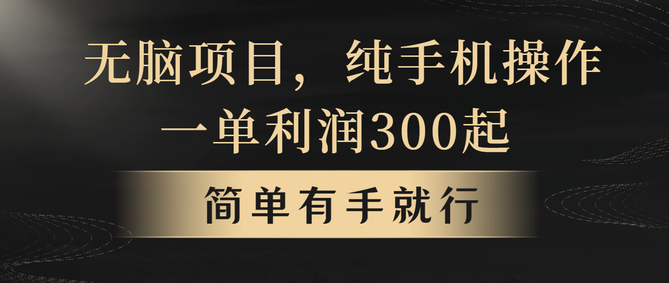 （10589期）无脑项目，一单几百块，轻松月入5w+，看完就能直接操作-富爸爸项目圈
