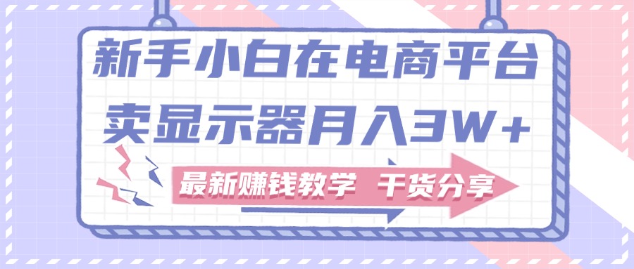 （11053期）新手小白如何做到在电商平台卖显示器月入3W+，最新赚钱教学干货分享-富爸爸项目圈