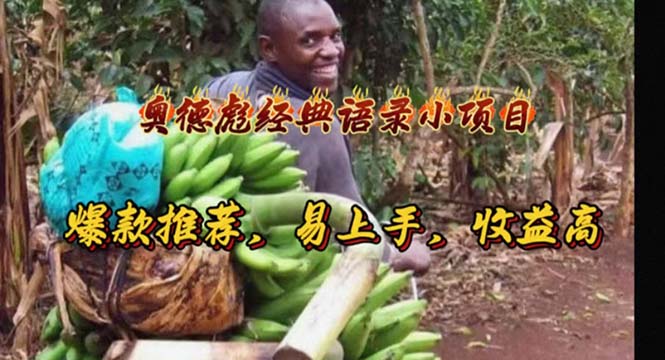 （11030期）奥德彪经典语录小项目，爆款推荐，易上手，收益高-富爸爸项目圈