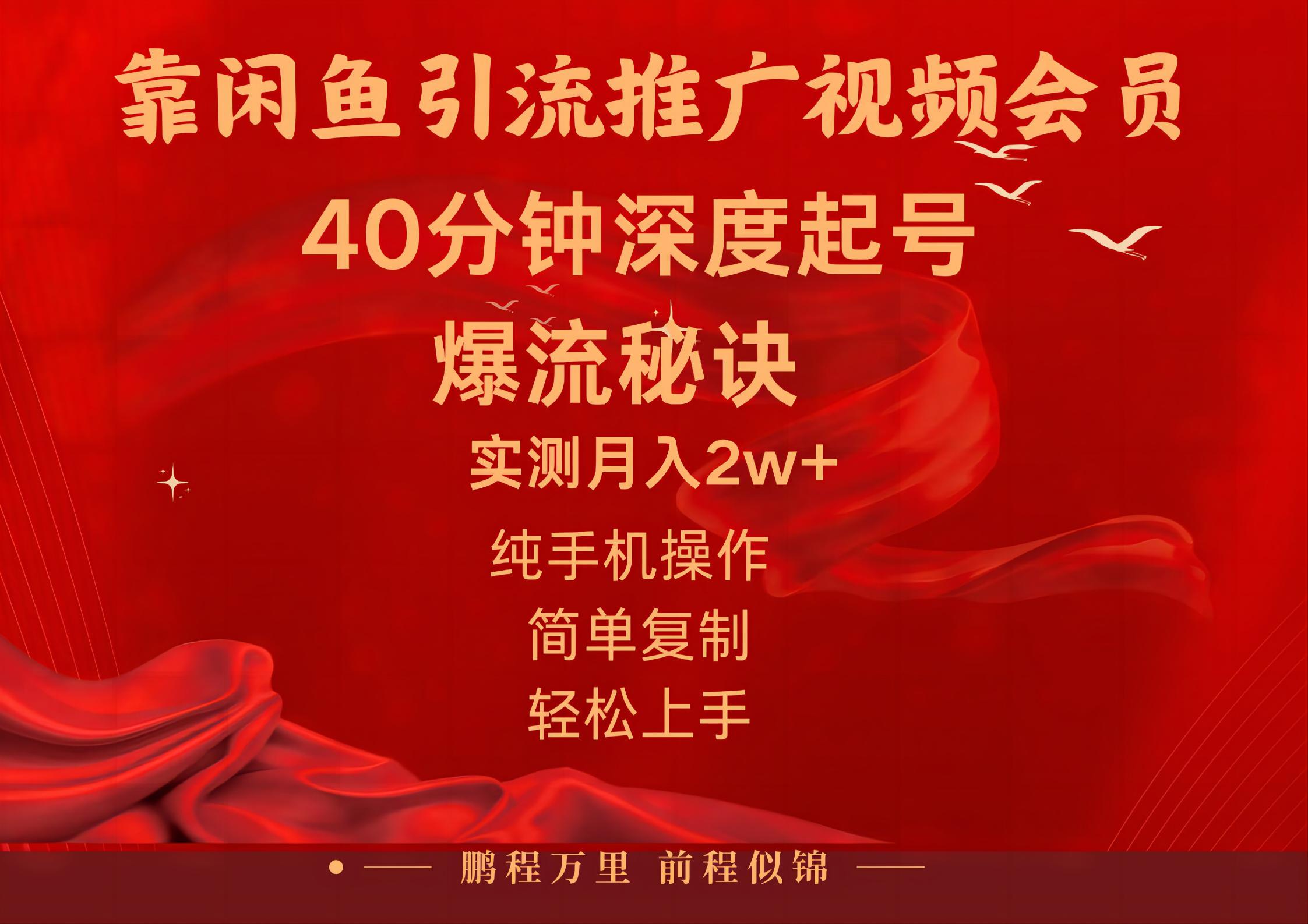 （10896期）闲鱼暴力引流推广视频会员，能做到日入2W+，操作简单-富爸爸项目圈