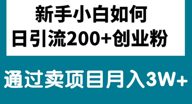 （10843期）新手小白日引流200+创业粉,通过卖项目月入3W+-富爸爸项目圈