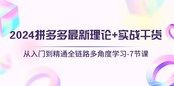 （10816期）2024拼多多 最新理论+实战干货，从入门到精通全链路多角度学习-7节课-富爸爸项目圈