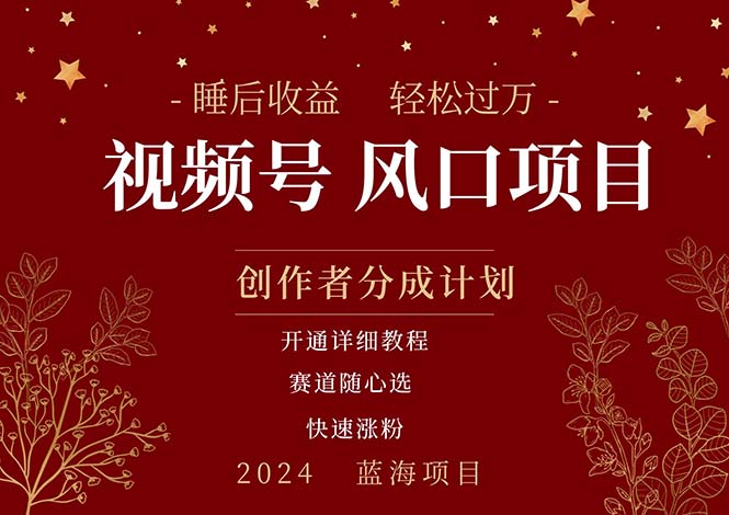 （11331期）拥有睡眠收益的微信视频号大风口项目，轻松月入过万+，多赛道选择，可…-富爸爸项目圈