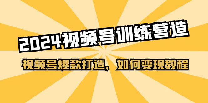 （11135期）2024视频号训练营，视频号爆款打造，如何变现教程（20节课）-富爸爸项目圈