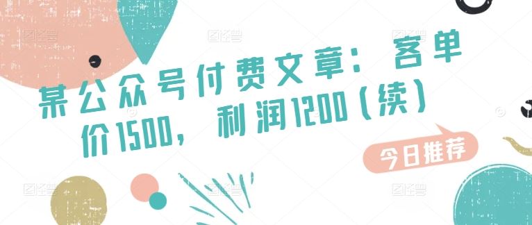 某公众号付费文章：客单价1500，利润1200(续)，市场几乎可以说是空白的-富爸爸项目圈