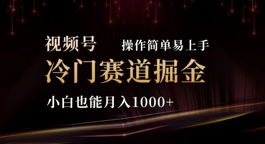 （11378期）2024视频号冷门赛道掘金，操作简单轻松上手，小白也能月入1000+-富爸爸项目圈