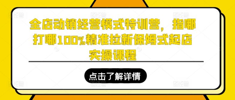 全店动销经营模式特训营，指哪打哪100%精准拉新保姆式起店实操课程-富爸爸项目圈