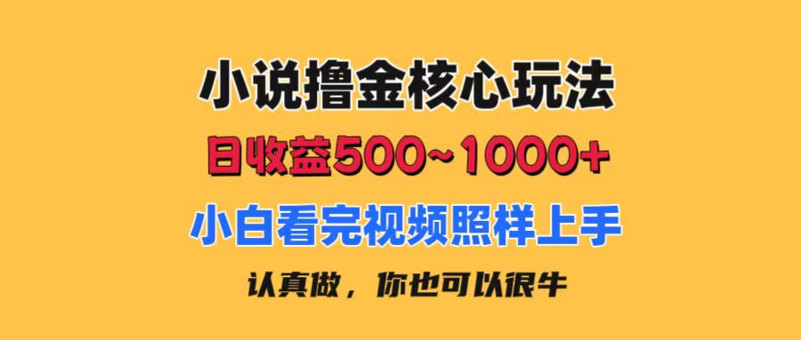 （11461期）小说撸金核心玩法，日收益500-1000+，小白看完照样上手，0成本有手就行-富爸爸项目圈