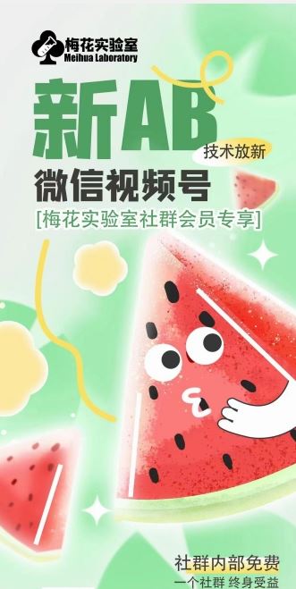 梅花实验室2024年AB技术视频号AB合成破解版-富爸爸项目圈
