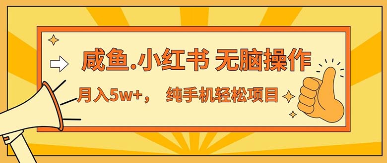 （11524期）2024最赚钱的项目，咸鱼，小红书无脑操作，每单利润500+，轻松月入5万+…-富爸爸项目圈