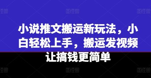 小说推文搬运新玩法，小白轻松上手，搬运发视频让搞钱更简单-富爸爸项目圈
