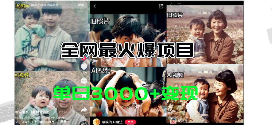 （11546期）全网爆火的AI让老照片动起来教程，蹭热点日赚3000+，内含免费工具一键…-富爸爸项目圈
