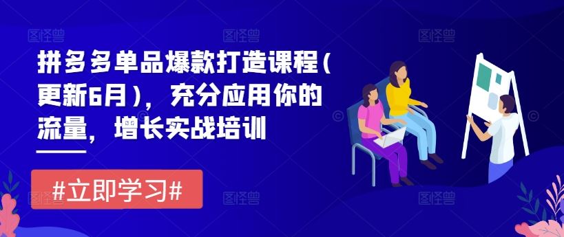 拼多多单品爆款打造课程(更新6月)，充分应用你的流量，增长实战培训-富爸爸项目圈