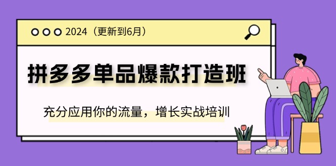 （11556期）2024拼多多-单品爆款打造班(更新6月)，充分应用你的流量，增长实战培训-富爸爸项目圈