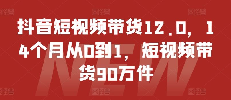 抖音短视频带货12.0，14个月从0到1，短视频带货90万件-富爸爸项目圈