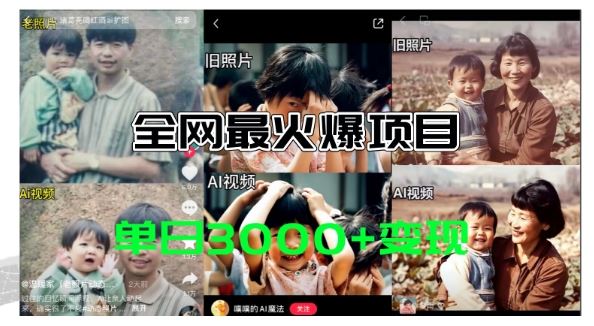 全网爆火的AI让老照片动起来教程，蹭热点日赚3k+，内含免费工具一键可生成【揭秘】-富爸爸项目圈