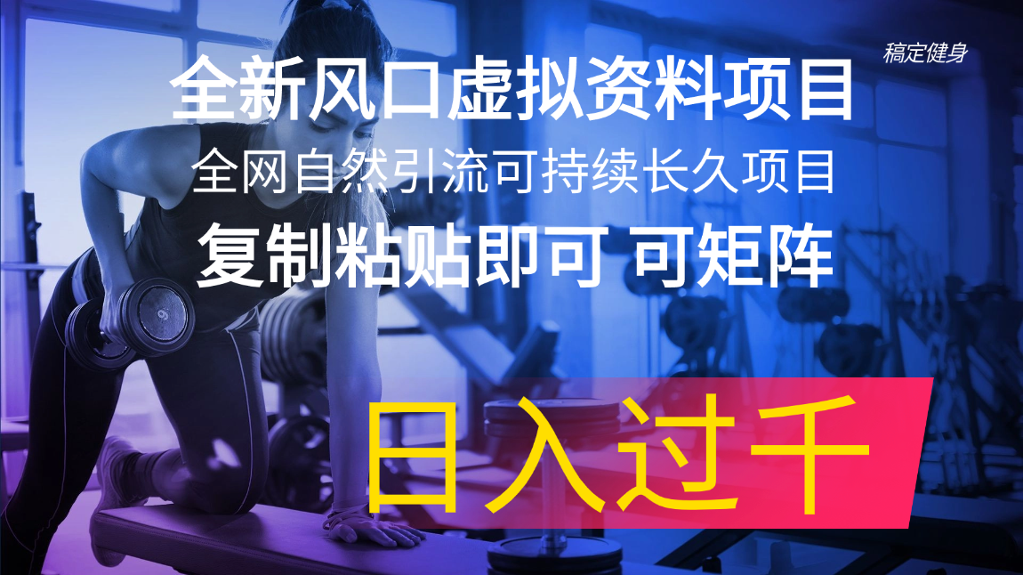 （11587期）全新风口虚拟资料项目 全网自然引流可持续长久项目 复制粘贴即可可矩阵…-富爸爸项目圈