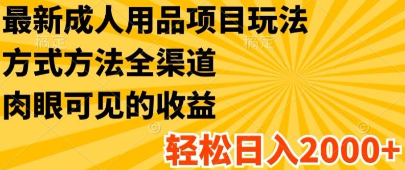 最新成人用品项目玩法，方式方法全渠道，轻松日入2K+【揭秘】-富爸爸项目圈
