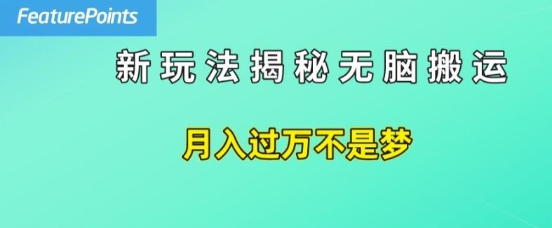 简单操作，每天50美元收入，搬运就是赚钱的秘诀【揭秘】-富爸爸项目圈