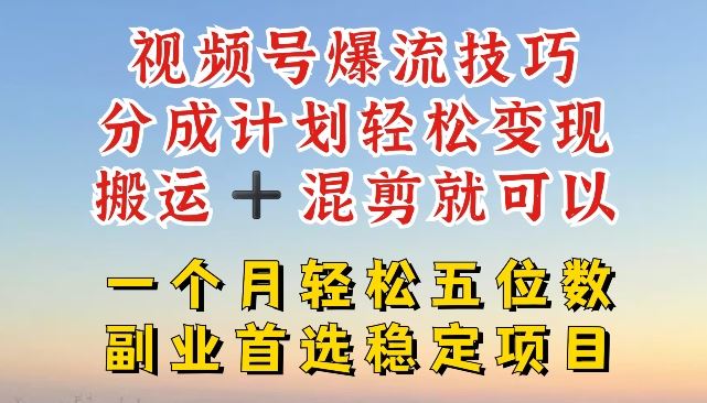 视频号爆流技巧，分成计划轻松变现，搬运 +混剪就可以，一个月轻松五位数稳定项目【揭秘】-富爸爸项目圈