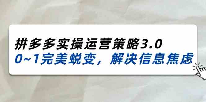 2024-2025拼多多实操运营策略3.0，0~1完美蜕变，解决信息焦虑（38节）-富爸爸项目圈