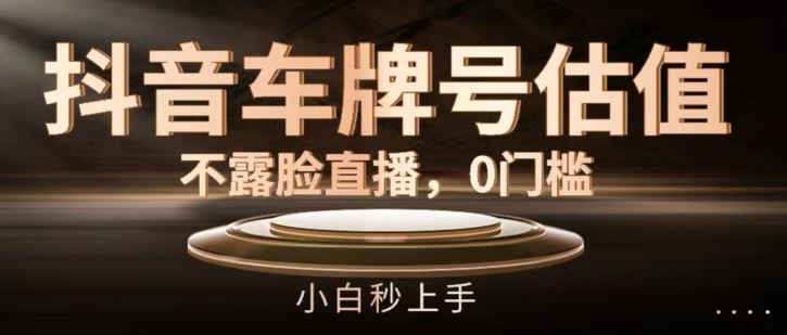 抖音车牌号估值，不露脸直播，0门槛，小白秒上手【揭秘】-富爸爸项目圈