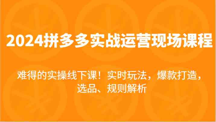 2024拼多多实战运营现场课，实时玩法，爆款打造，选品、规则解析，难得的实操线下课！-富爸爸项目圈