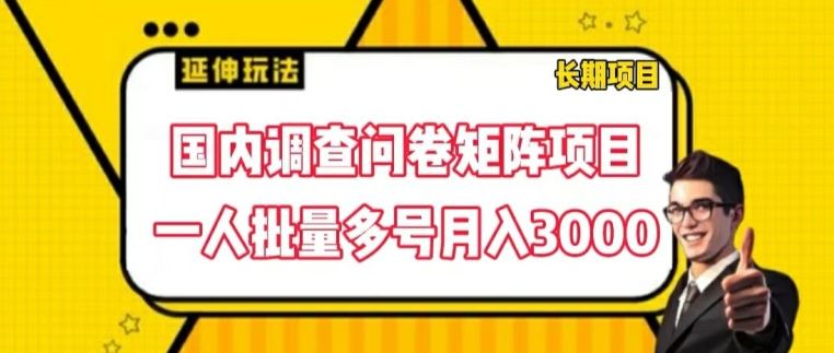 国内调查问卷矩阵项目，一人批量多号月入3000【揭秘】-富爸爸项目圈