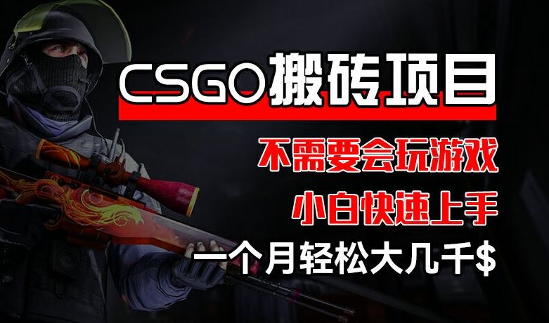 CSGO 装备搬砖项目，操作简单，不需要会玩游戏，小白也能快速上手，一个月轻松大几千【揭秘】-富爸爸项目圈