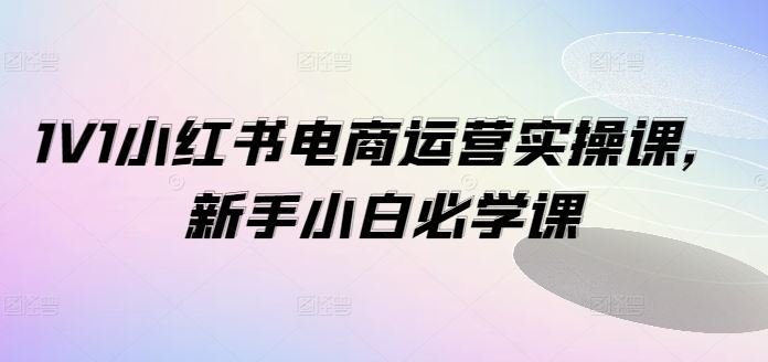 1V1小红书电商运营实操课，新手小白必学课-富爸爸项目圈