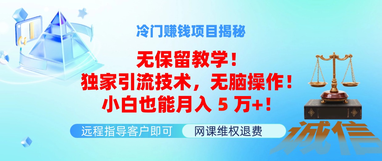 （11864期）冷门赚钱项目无保留教学！独家引流技术，无脑操作！小白也能月入5万+！-富爸爸项目圈