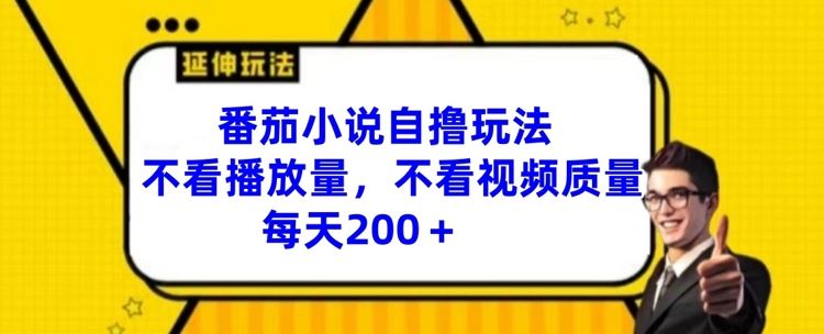 番茄小说自撸玩法，不看播放量，不看视频质量，每天200+【揭秘】-富爸爸项目圈
