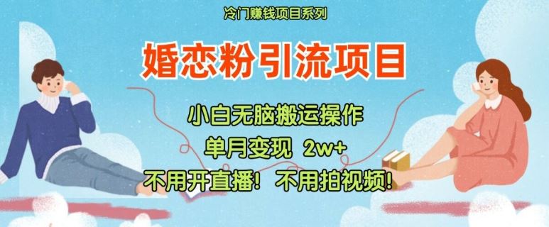 小红书婚恋粉引流，不用开直播，不用拍视频，不用做交付【揭秘】-富爸爸项目圈