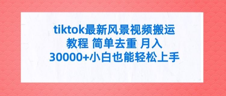 tiktok最新风景视频搬运教程 简单去重 月入3W+小白也能轻松上手【揭秘】-富爸爸项目圈
