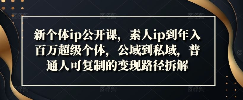 新个体ip公开课，素人ip到年入百万超级个体，公域到私域，普通人可复制的变现路径拆解-富爸爸项目圈