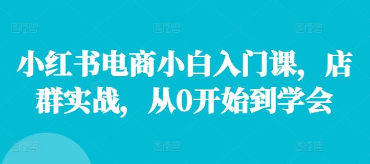 小红书电商小白入门课，店群实战，从0开始到学会-富爸爸项目圈