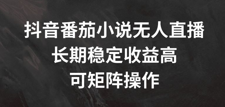 抖音番茄小说无人直播，长期稳定收益高，可矩阵操作【揭秘】-富爸爸项目圈